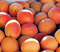 Apricott 500g