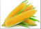 Sweetcorn