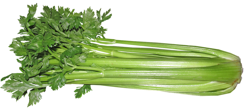 Celery