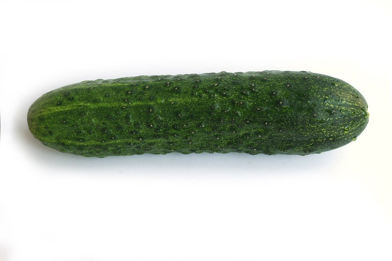 Short Cucumber