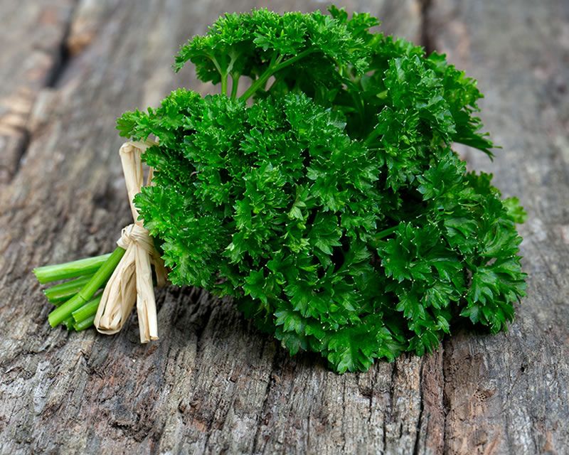 Parsley leaves