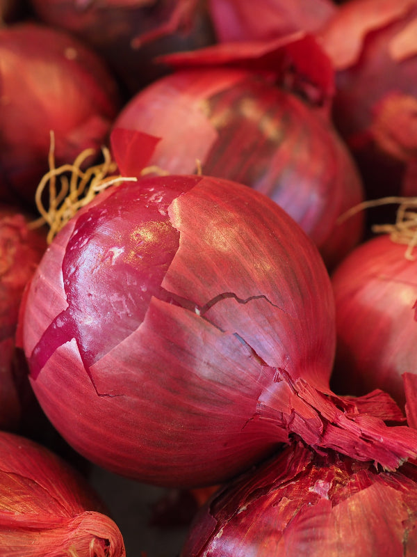 Onions Red 500g